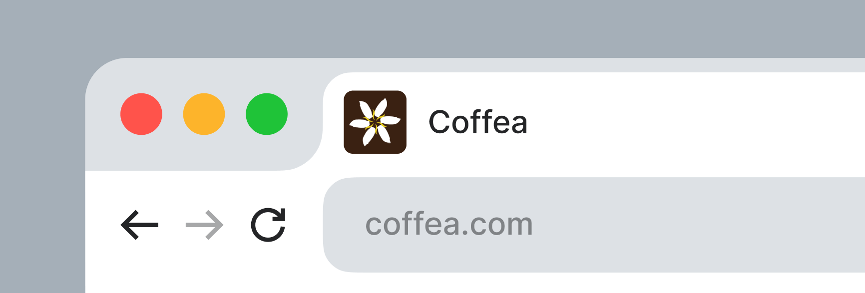 Coffea 3